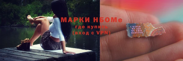 гидра Аркадак