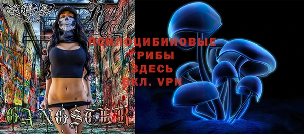гидра Аркадак