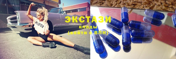 гидра Аркадак