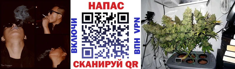 Конопля Bruce Banner  Радужный 